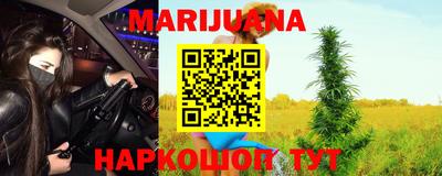 гидра Краснознаменск
