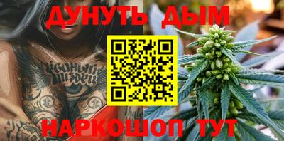 гидра Краснознаменск