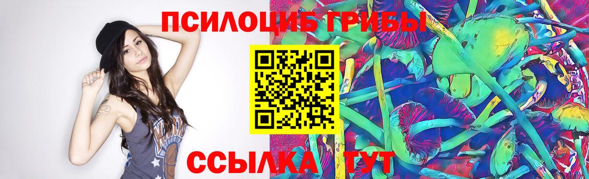 Галлюциногенные грибы Psilocybine cubensis Кимовск