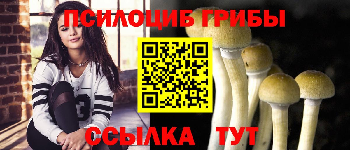 Кимовск  Псилоцибиновые грибы Psilocybine cubensis  Вход с VPN 