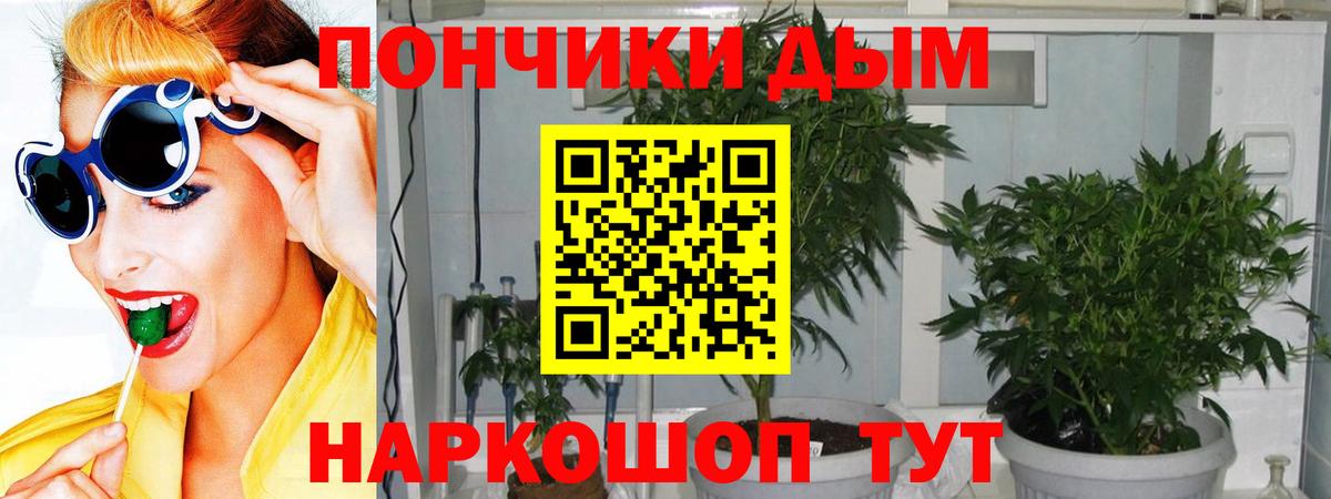 Каннабис марихуана Кимовск